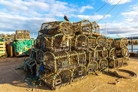 Traditional lobster, crabs pots and fishing gear on harbour quay in Scarborough, North Yorkshire, England, UK