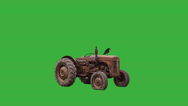 Raven on a rusted farm tractor green screen