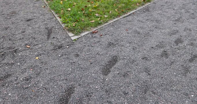 A pedestrian path made of fine gray gravel in a summer park, the surface of the pedestrian path surrounded by a green lawn and fallen leaves