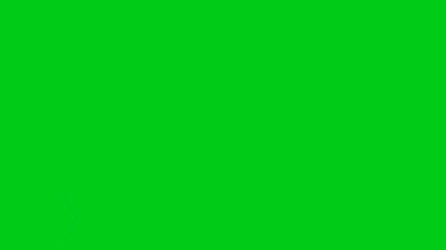 Modern Lower Third Animation Template with Hexagonal Icon on Green Screen Background for Broadcast