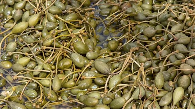 Close up of pickled caper berries with stems submerged in brine liquid background in slow motion.