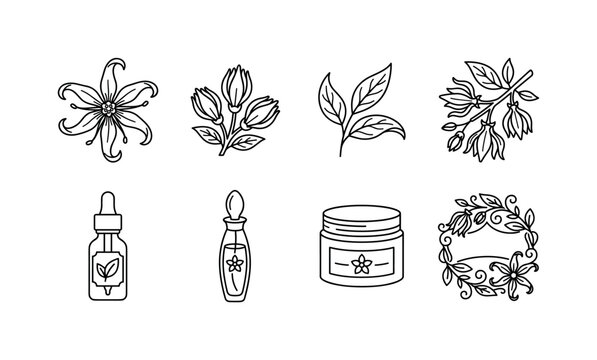 Ylang Ylang Botanicals, line icon set featuring ylang-ylang flowers, unopened buds, curved leaves, aromatic branch, essential oil bottle, perfume vial, cosmetic jar, botanical label frame, covering
