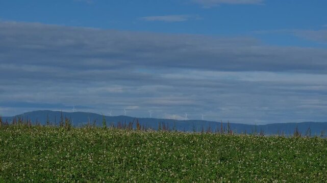Highland grassland landscape with a group of wind turbines standing above distant mountain ranges in the background.