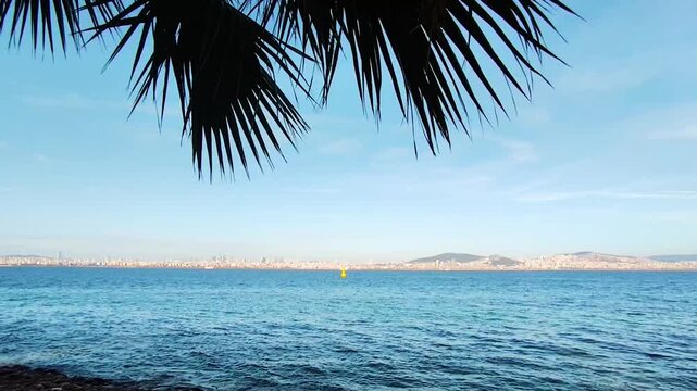 Panoramic View of Istanbul City Skyline and Sea Framed by Tropical Palm Leaves, Shot from Princes Islands on a Sunny Day with Clear Blue Sky and Calm Sea Water