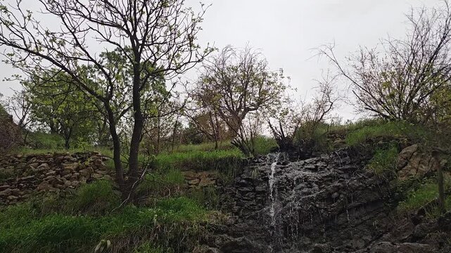Flowing stream water trickles down a rocky ledge, framed by budding trees and lush green grass under an overcast sky.
📍 Hawraman Takht, Kurdistan, Iran 