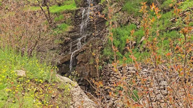 Flowing stream water trickles down a rocky terraced slope, surrounded by lush green trees and yellow wildflowers.
📍 Hawraman Takht, Kurdistan, Iran 