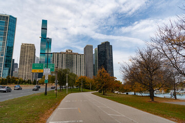 Fototapeta premium Fall nature landscape. Autumn nature in city grand park. Seasonal fall landscape. Park autumn tree and promenade. Scenic fall. Grans park in autumn. Autumn promenade path with skyscraper
