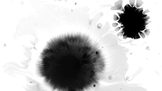 Black Ink Bloom Reveal for Chinese Culture Videos, Brand Advertising and Title Sequences