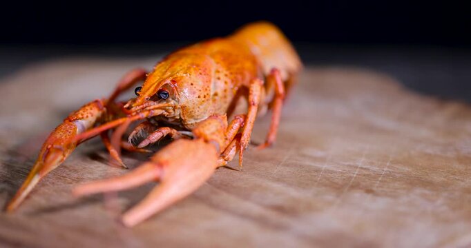 Red boiled crayfish on a wooden chopping board, one boiled crayfish with large claws lies on the surface of the kitchen table