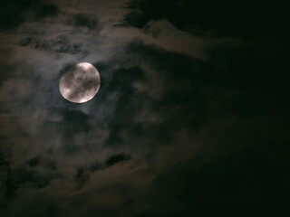Fototapeta premium Tokyo,Japan - August 24, 2026: The half moon shining beyond thin clouds 