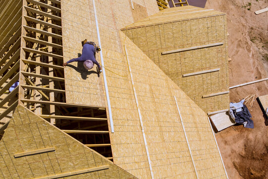 Construction worker is on top of roof putting in wooden plywood panels in building site