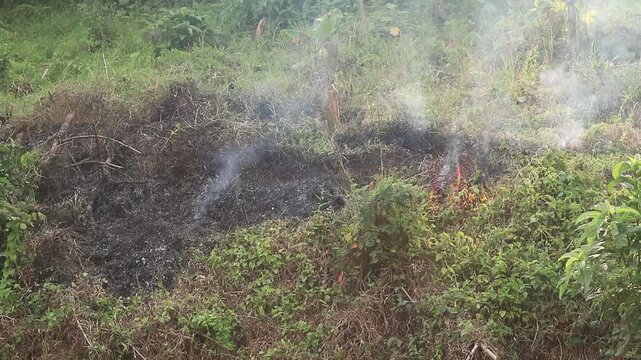 Small patch of dry vegetation burning in a rural field with smoke rising.