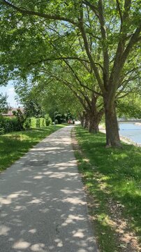 Beautiful park path by the Savinja river in Celje Slovenia, vertical 4K B-roll