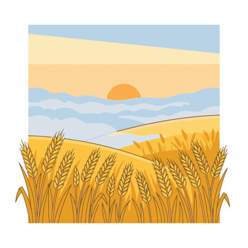 Wheat field landscape at sunrise vector illustration. SVG Editable. Vector Illustrations.