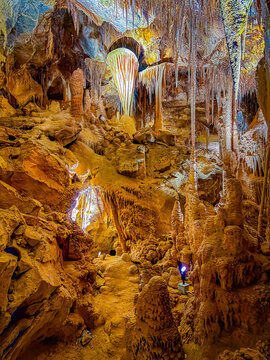 Illuminated limestone shields and formations in Lehman Caves