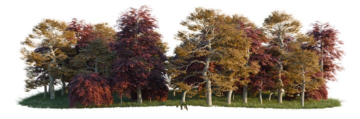 Naklejka premium Acer palmatum cv tree line, Forest Edge, Backdrop cutout, isolate transparent background, Autumn Forest Trees with Vibrant Fall Colors - Detailed Rendering for Design Projects
