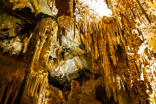 Intricate stalactites and stalagmites inside Lehman Caves