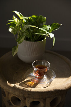 Variegated houseplant and glass teacup are catching warm sunlight on wooden stool, casting shadows