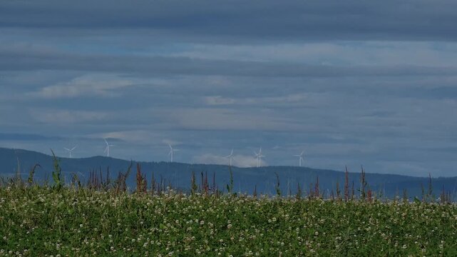 Highland grassland landscape with a group of wind turbines standing above distant mountain ranges in the background.