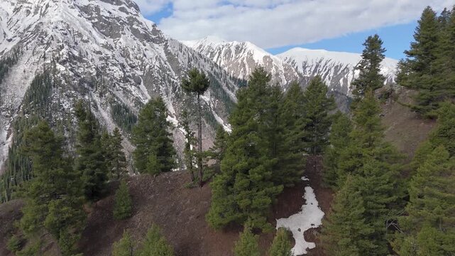 Drone clip revealing snow covered Himalayan mountains and avalanche snow chutes in early spring, aerial transition from green timberline to freezing rocky peaks