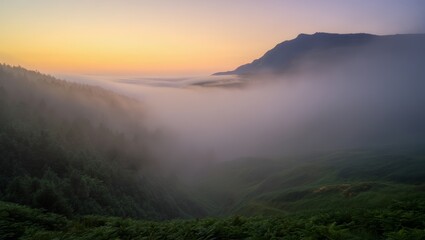 Naklejka premium Misty Mountain Sunrise Over Forested Valley