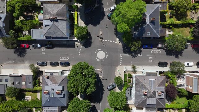 Mini roundabout and crossing at a leafy junction between detached villas and their gardens, seen from directly above