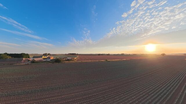 Golden sun rises over tilled fields. Soft clouds drift across bright blue sky. Rows of crops stretch toward distant horizon. Farmland bathed in warm morning light. Lincolnshire