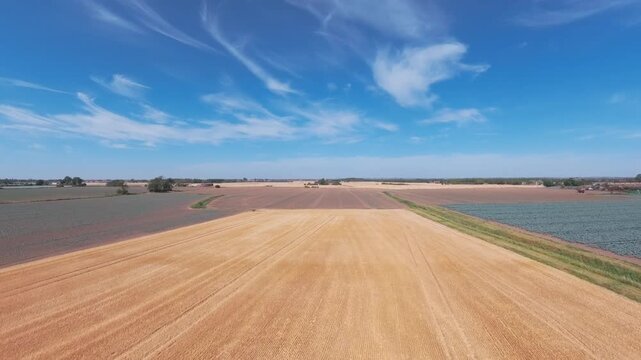 Golden fields stretch wide under crisp blue skies. Farmer's tools rest silent in sunlit soil. Crops thrive where seasons turn. Wind sweeps gently over vast. Crop sprayer insecticide fertilizer water