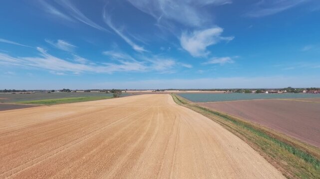 Golden wheat field under vast blue sky. Farmland stretches wide with neat rows. Clouds drift slow across the horizon. Sunlight bathes the earth in warm glow. Crop sprayer insecticide fertilizer water