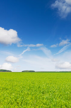 Blue sky with clouds over green countryside field.