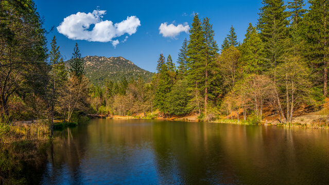 Fulmor Lake Picnic Area in Idylwild, California