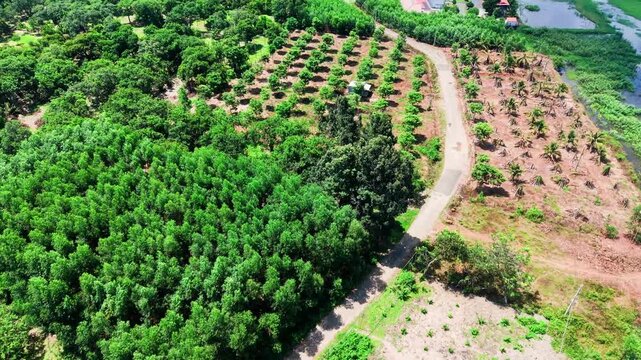 Aerial shots show the landscape of Tra Tan in Lam Dong, Vietnam. Green fields and farms are visible. The camera captures roads and nature at different heights throughout the day.