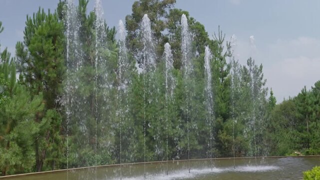 Vertical Water Jets Rising From A Reflecting Pool In Front Of Green Pine Trees