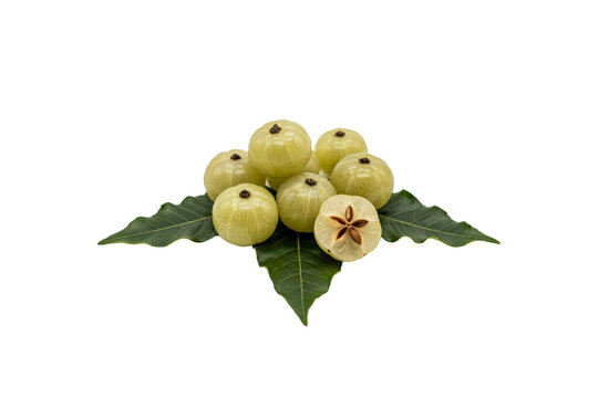 A cluster of fresh indian gooseberries or amla fruit resting on green leaves isolated on a transparent background