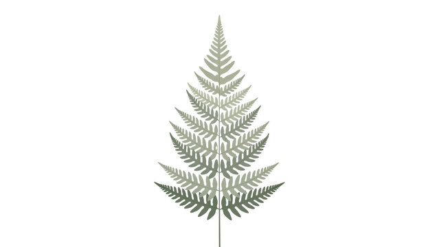 A single symmetrical fern leaf with a gradient of muted green shades arranged vertically isolated on a transparent background