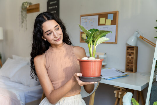 Young Hispanic woman gently taking care of indoor plants in cozy house. 