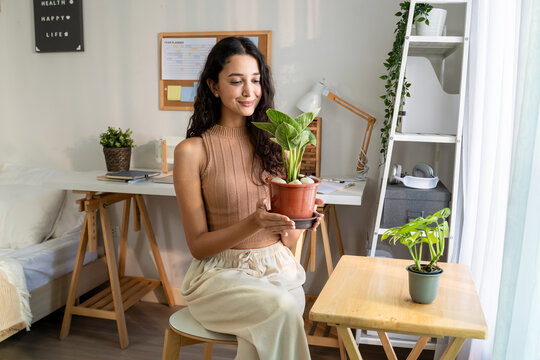 Young Hispanic woman gently taking care of indoor plants in cozy house. 