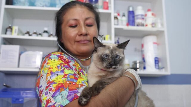 Female veterinarian comforting siamese cat in clinic