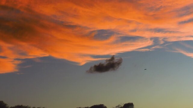silhouette of bird fly over orange cloud glow and blue sky background, 4k slow motion footage b roll shot.