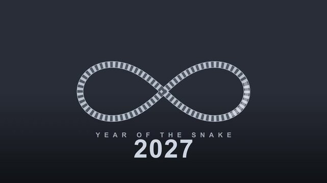 Looping 3D animation of a silver snake forming an infinity symbol, representing eternity and the year 2027