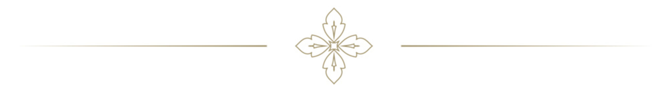 Horizontal dividing line decorated with gold flowers.