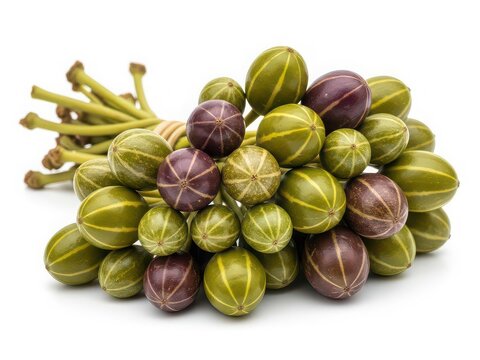 Fresh green and purple caper berries on stems