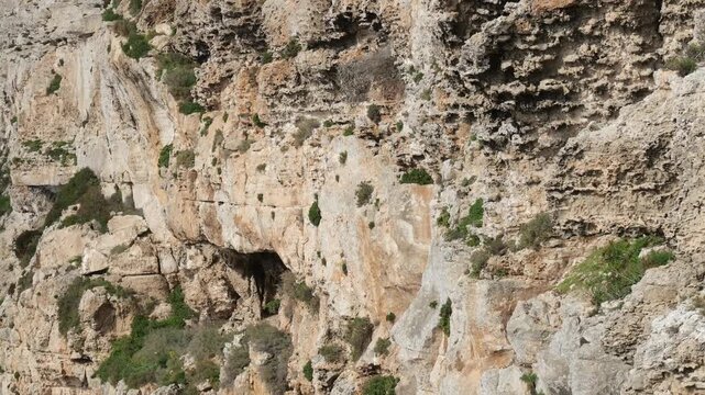 tafoni honeycomb limestone erosion texture gorge cliff wall small cave pockets weathered rock surface scrub vegetation karst valley aerial drone footage malta close up natural pattern