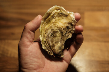 Hand holding fresh oyster shell over wooden surface © Jorge Elizaquibel