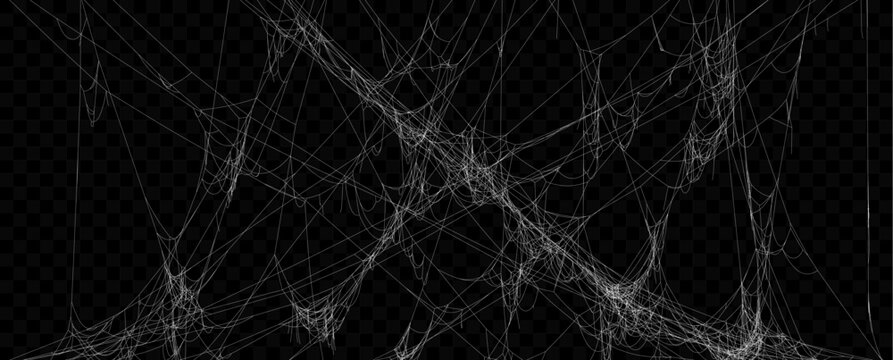 Realistic Vector Tangled White Spider Web Texture. Hanging Cobweb for Halloween design.