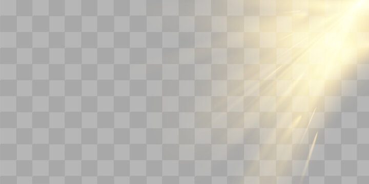 Yellow glowing light explodes on a transparent background. Sparkling magical dust particles. Bright Star. Transparent shining sun, bright flash. Vector sparkles.
