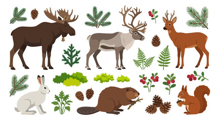 Obraz premium Forest Wild Animals and Northern Woodland Flora Vector Set
