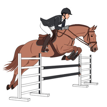 Professional equestrian rider jumping horse over barrier vector illustration isolated on white background, Asian sports horse riding competition