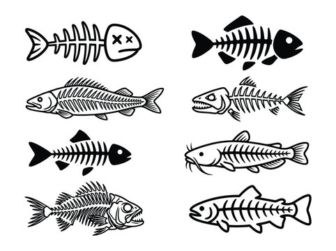 Collection of fish skeleton and bone illustrations with fish bones