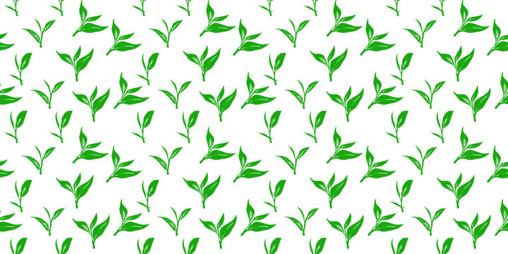 tea leaves pattern background. green leaves vector pattern background. Green tea leaf seamless pattern. seamless patterns with green leaves of tea.